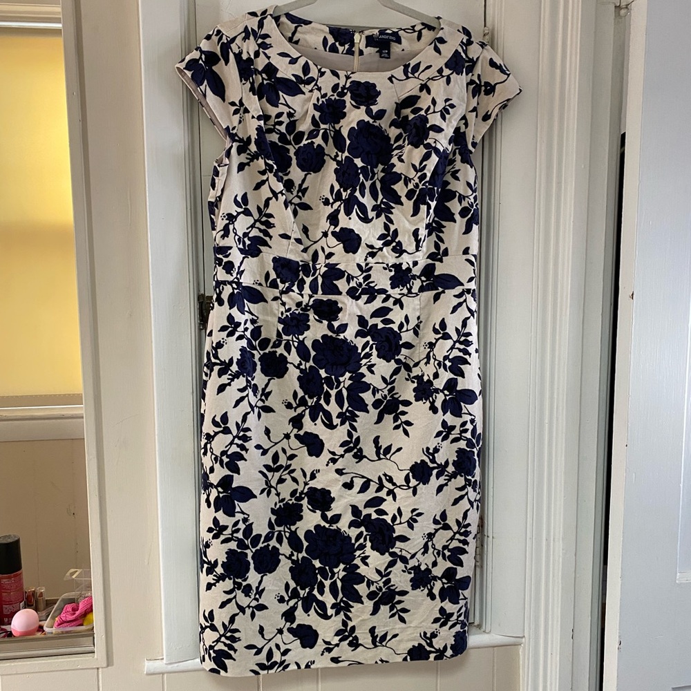 Velvet Dress (NWOT)